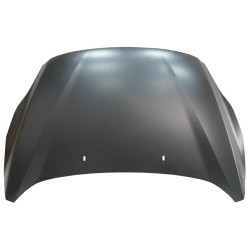 FORD C-MAX 10-* CAPOT (CHAPA)