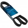Correia trapezoidal estriada 6PK1195