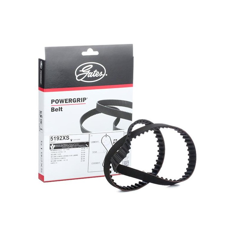 Correia distribuição