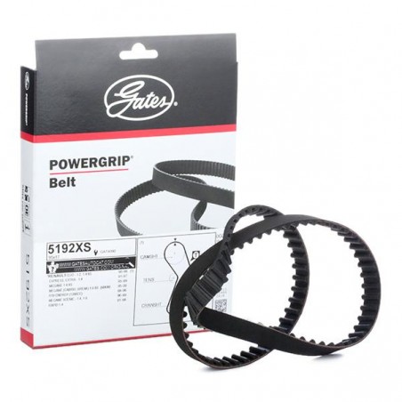 Correia distribuição