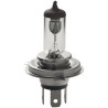 H4 + Power 12V 100/90W P43t