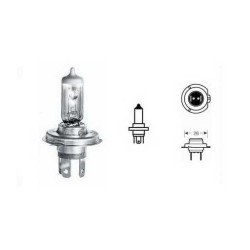 H7 +Power White 12V 100W PX26d