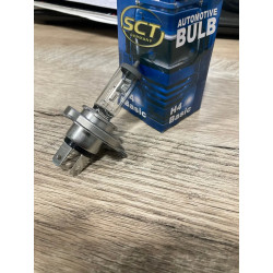 H4 Basic 24V 75/70W P43t