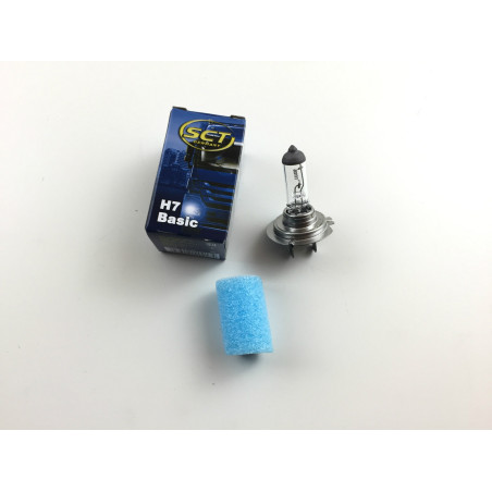 H7 Basic 24V 70W PX26d