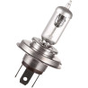 HS1 Moto 12V35/35W PX43T